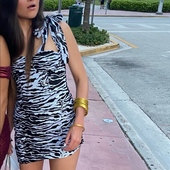 LIONESS DRESS - Picture 1 of 4